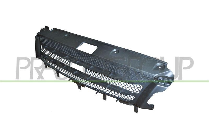 Radiator Grille