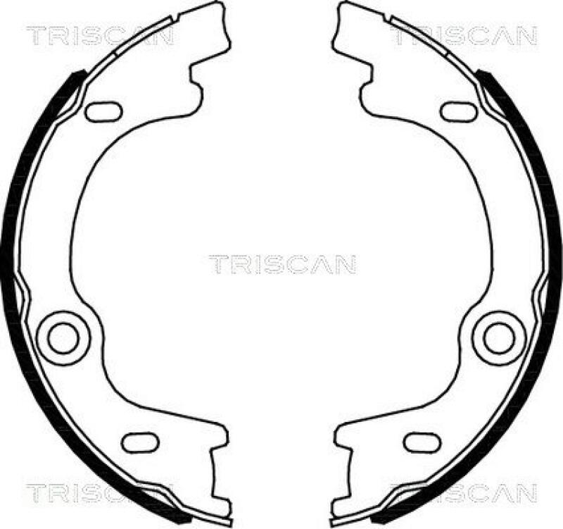 TRISCAN Brake Shoe Set, parking brake