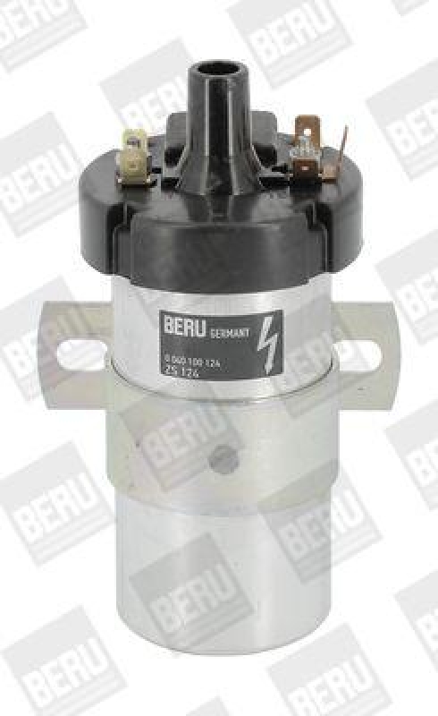 BorgWarner (BERU) Ignition Coil
