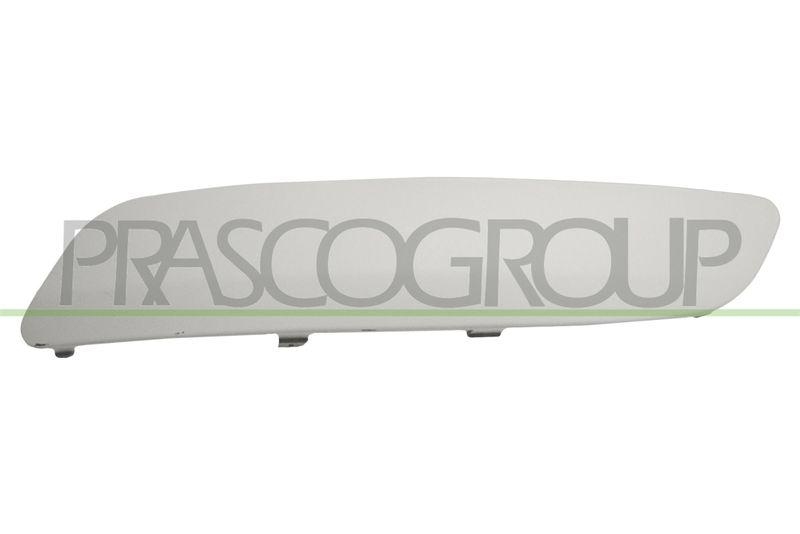 Trim/Protective Strip, bumper