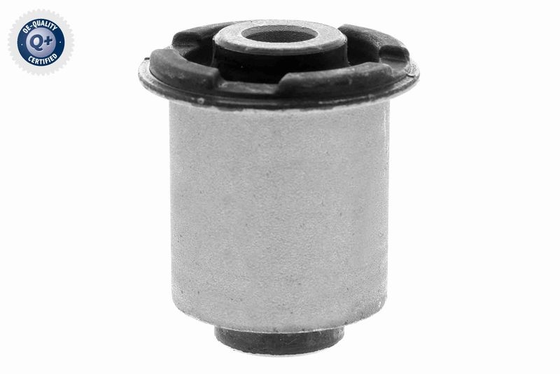 ACKOJA Mounting, control/trailing arm Green Mobility Parts