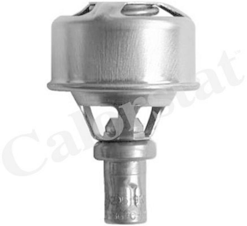 CALORSTAT by Vernet Thermostat, coolant