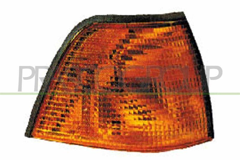 PRASCO Blinkleuchte Blinker BM0144103