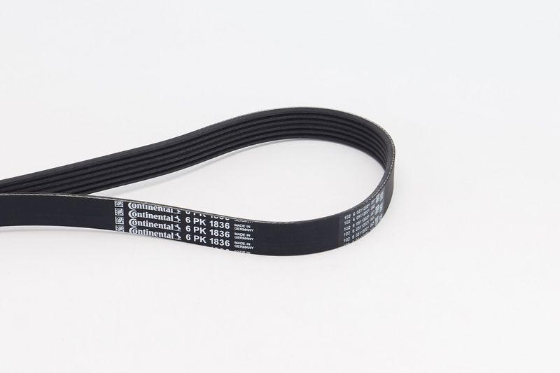CONTINENTAL CTAM V-Ribbed Belt