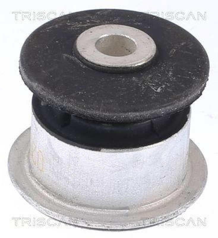 TRISCAN Mounting, control/trailing arm