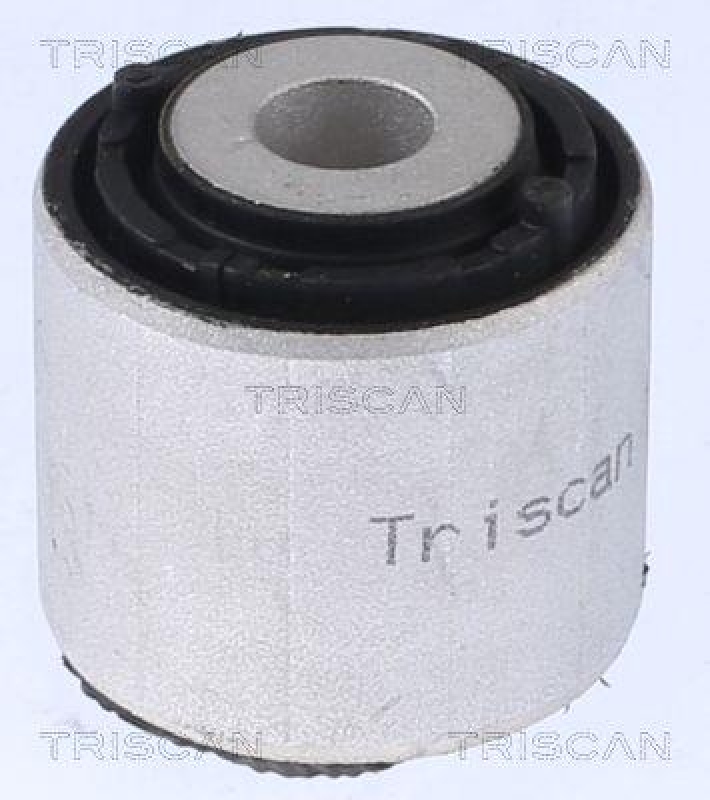 TRISCAN Mounting, control/trailing arm