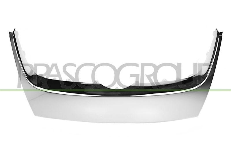 Trim/Protective Strip, radiator grille