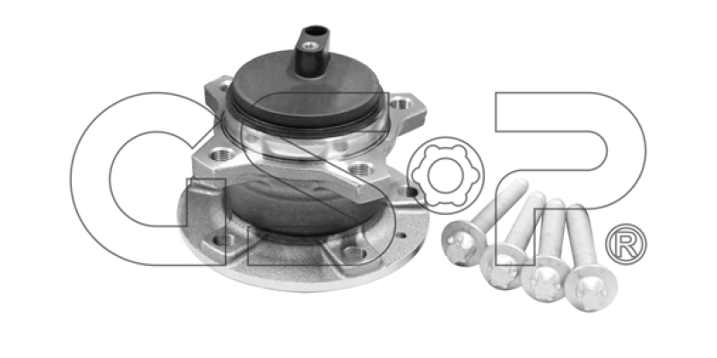 GSP Radlagersatz