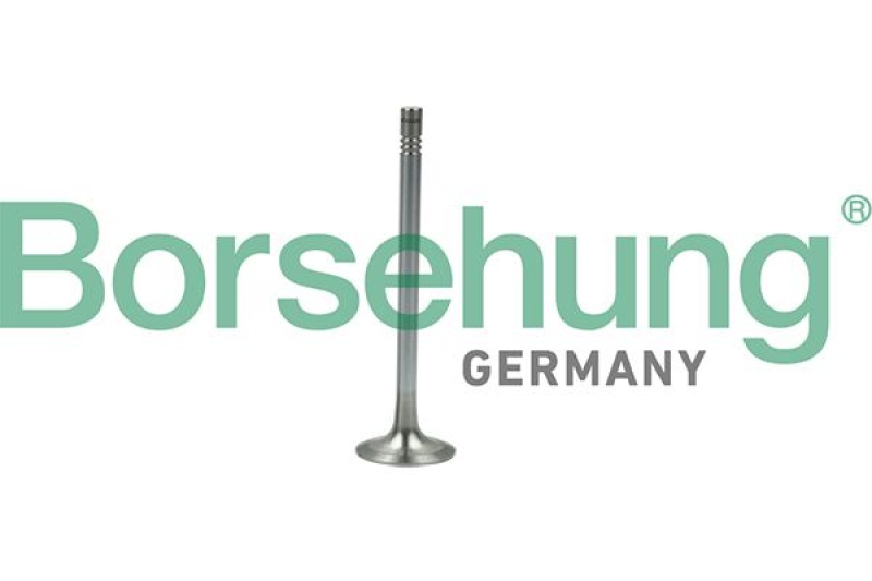 Borsehung Exhaust Valve