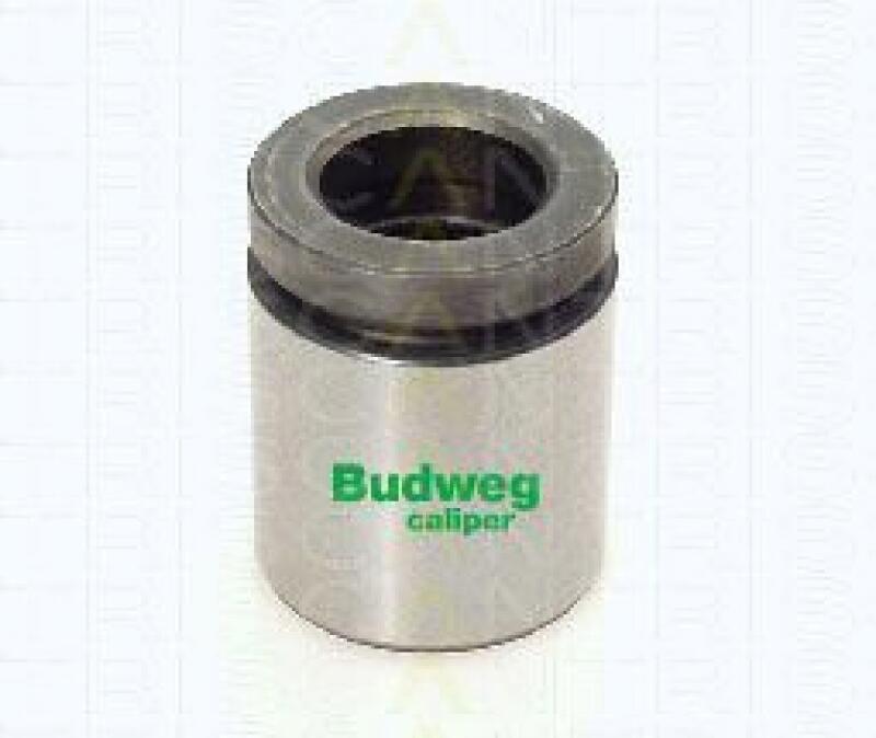 TRISCAN Piston, brake caliper