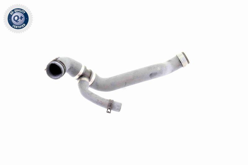 VAICO Radiator Hose Q+, original equipment manufacturer quality