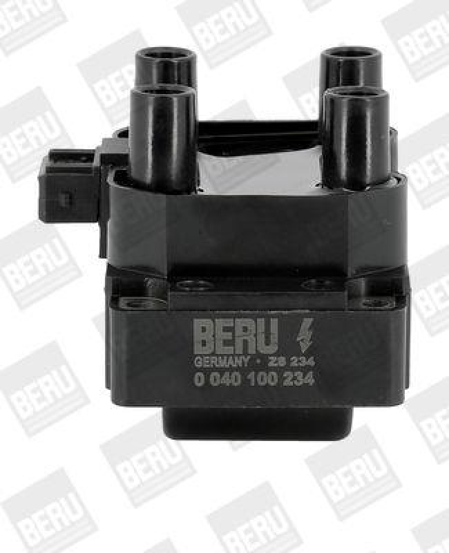 BorgWarner (BERU) Ignition Coil