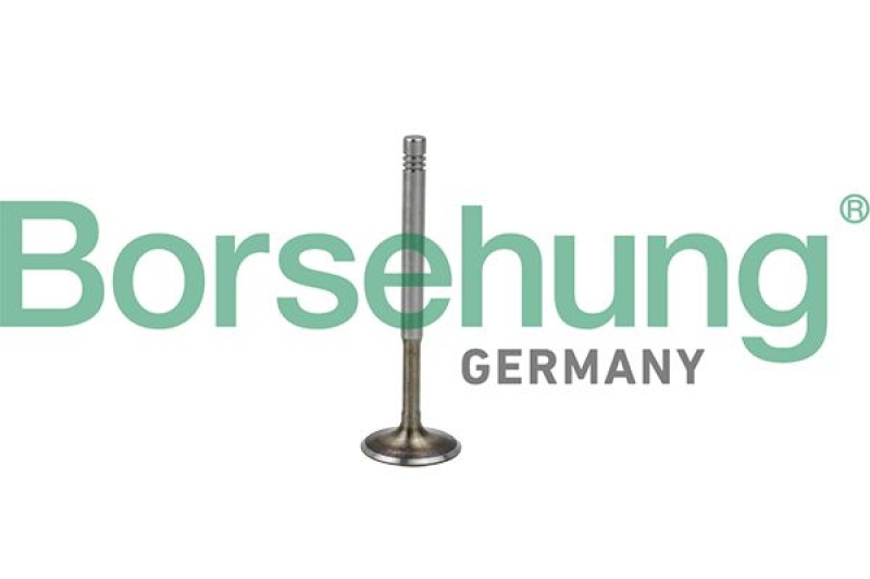 Borsehung Exhaust Valve
