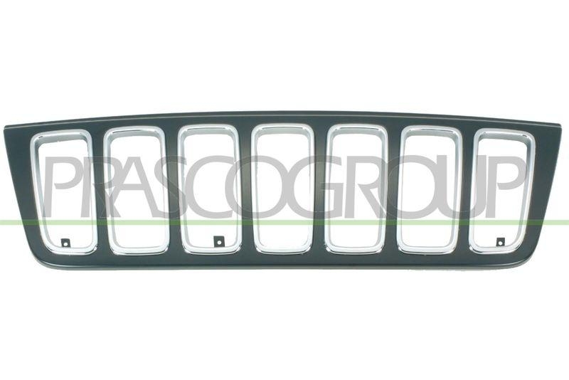 Radiator Grille