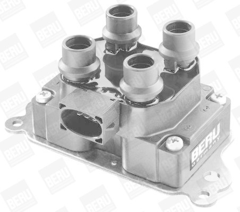 BorgWarner (BERU) Z&uuml;ndspule