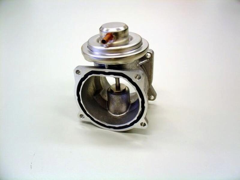 BorgWarner (Wahler) AGR-Ventil