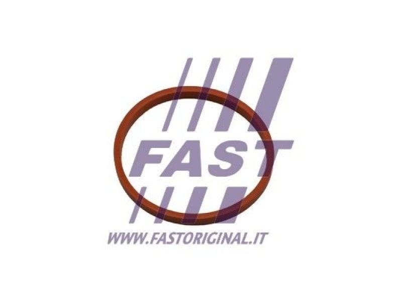 FAST Seal Ring, charge air hose