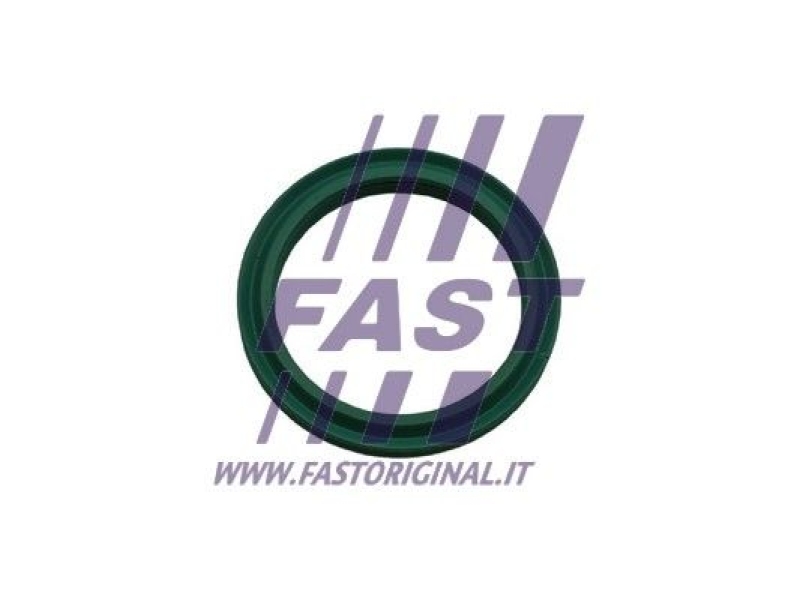 FAST Seal Ring, charge air hose
