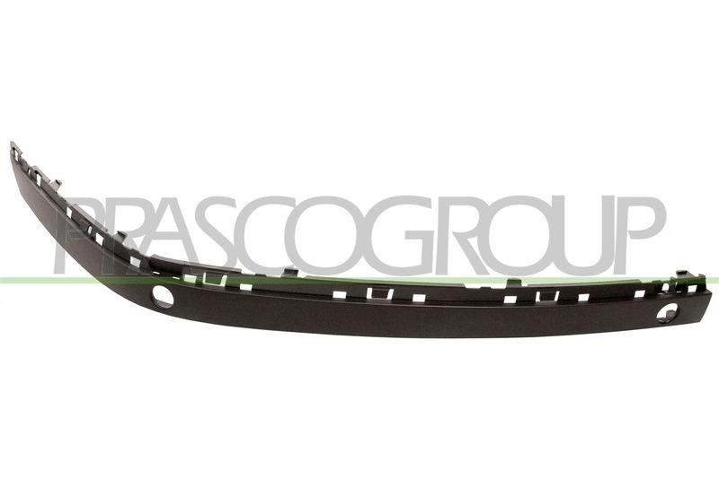 Trim/Protective Strip, bumper