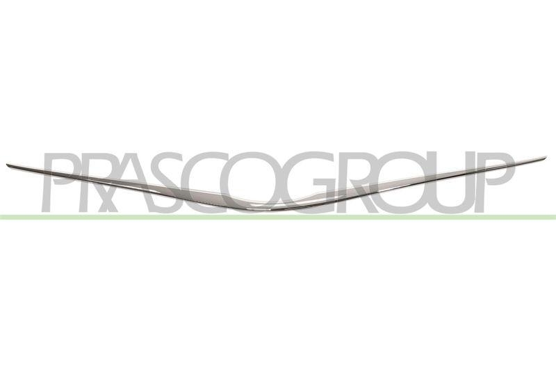 Trim/Protective Strip, radiator grille Premium