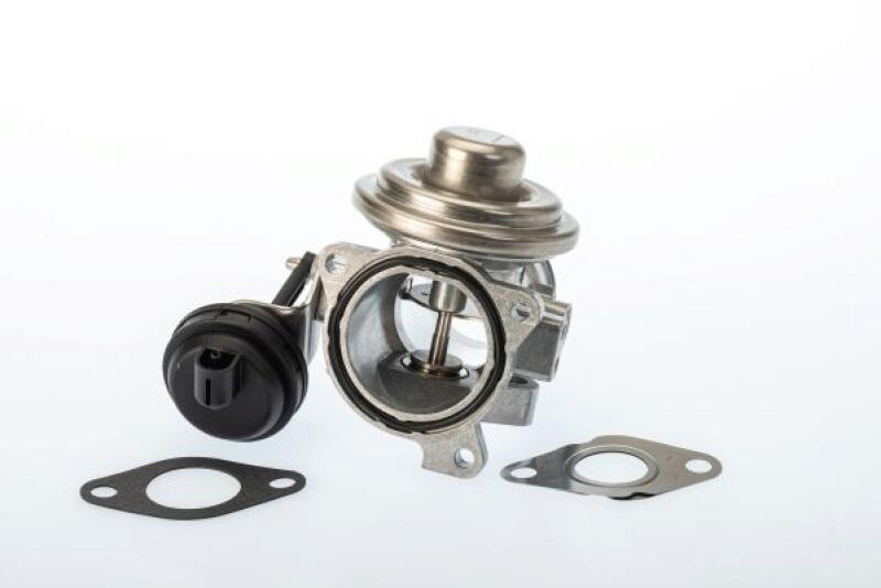 BorgWarner (Wahler) AGR-Ventil