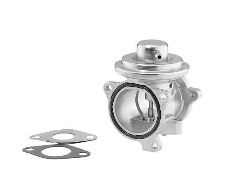 BorgWarner (Wahler) AGR-Ventil