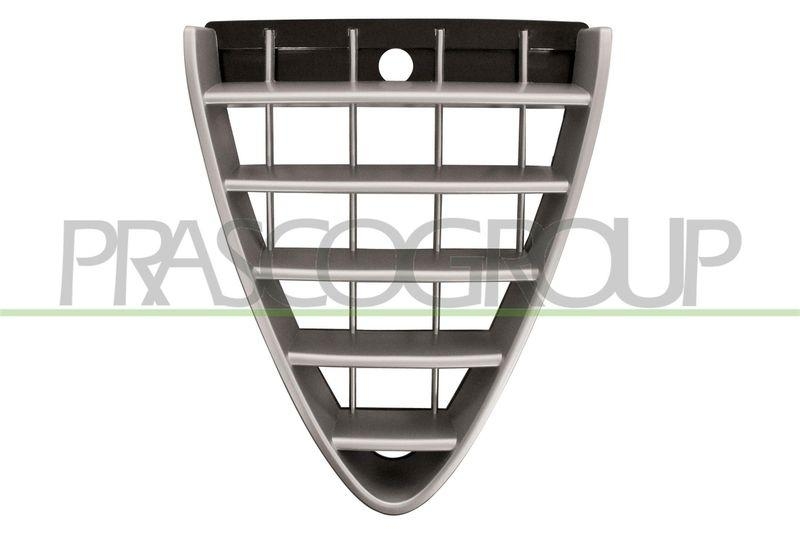 Radiator Grille