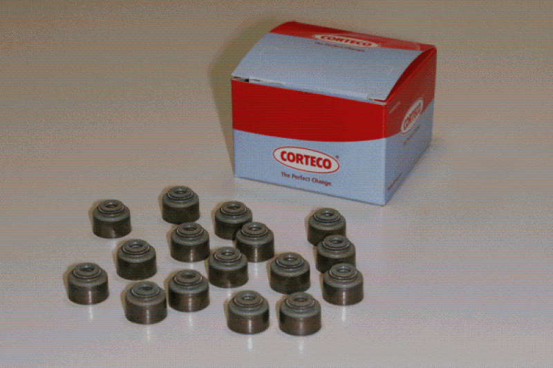 CORTECO Dichtungssatz, Ventilschaft 19036062