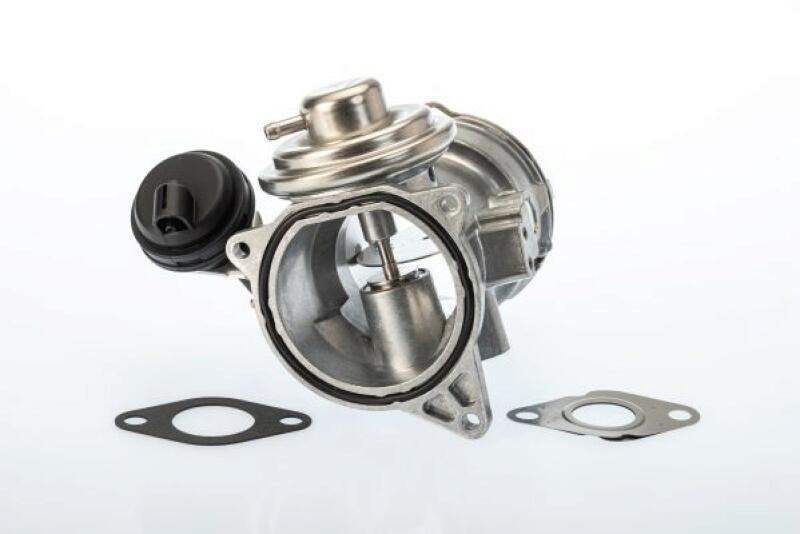 BorgWarner (Wahler) AGR-Ventil 7649D/1