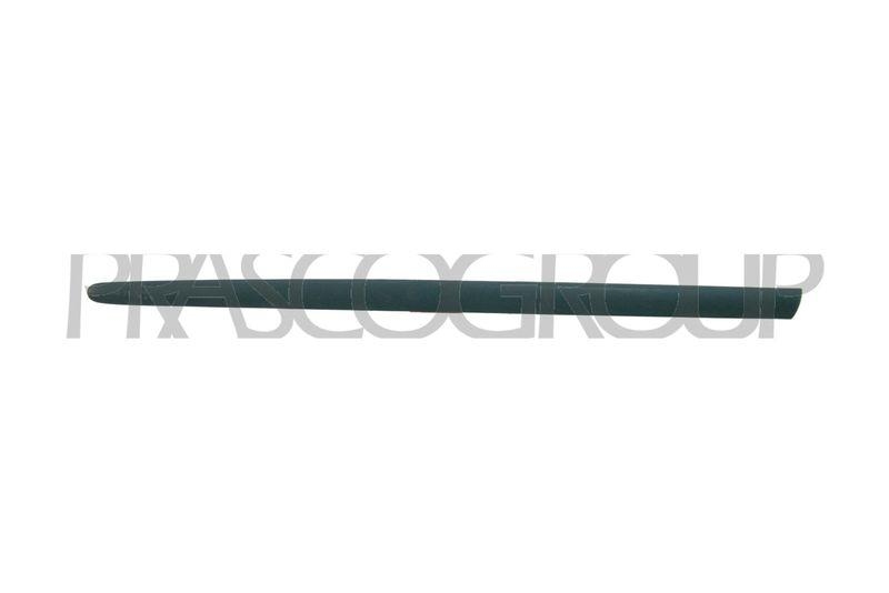 Trim/Protective Strip, door