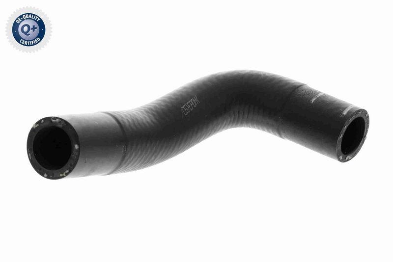 VAICO K&uuml;hlerschlauch Q+, Erstausr&uuml;sterqualit&auml;t V10-4860