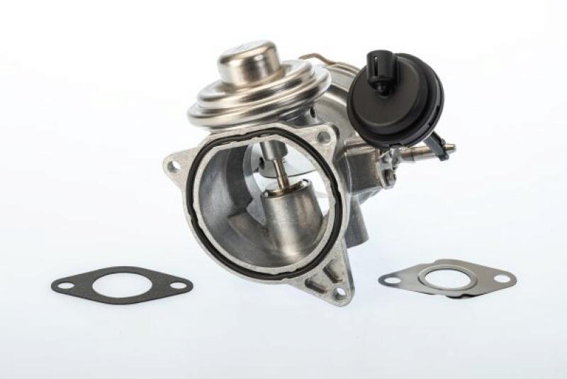 BorgWarner (Wahler) AGR-Ventil 7650D/1