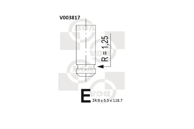 BGA Auslassventil V003817
