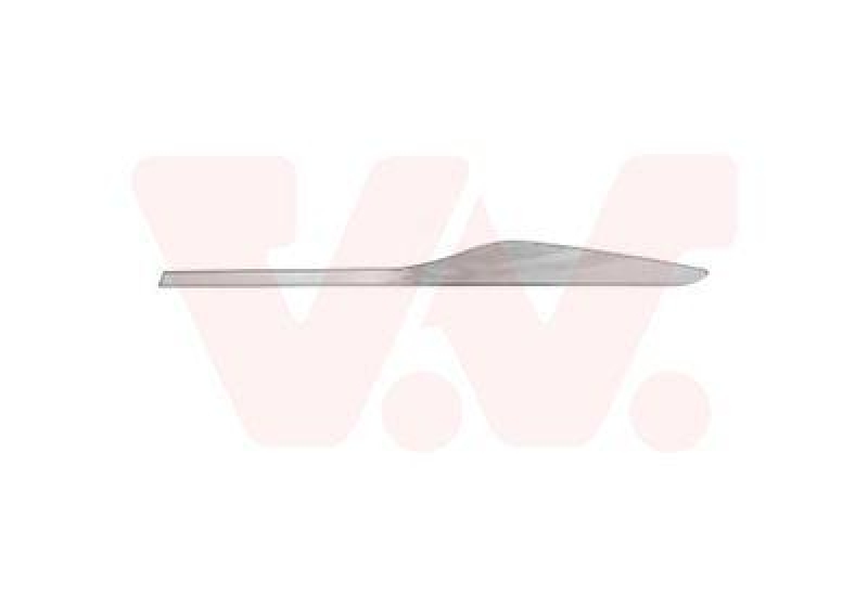 VAN WEZEL Zier-/Schutzleiste, Tür