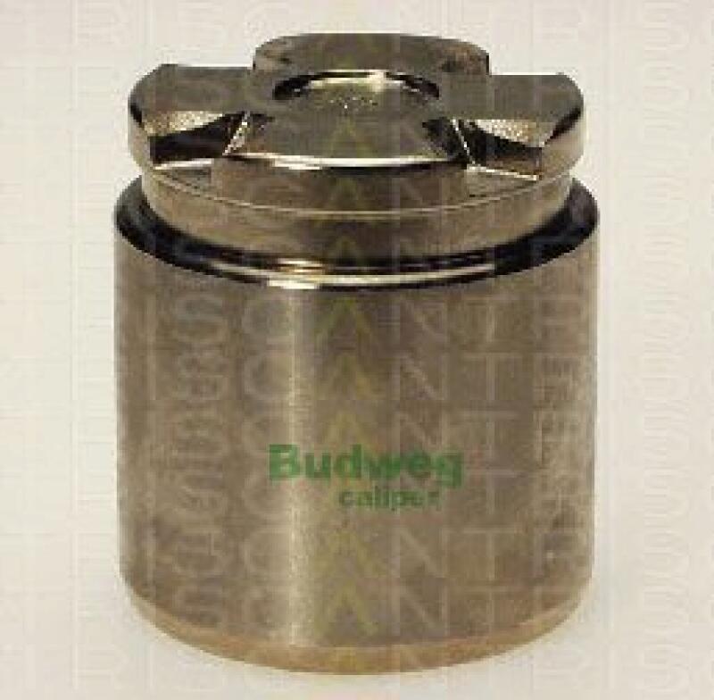 TRISCAN Piston, brake caliper