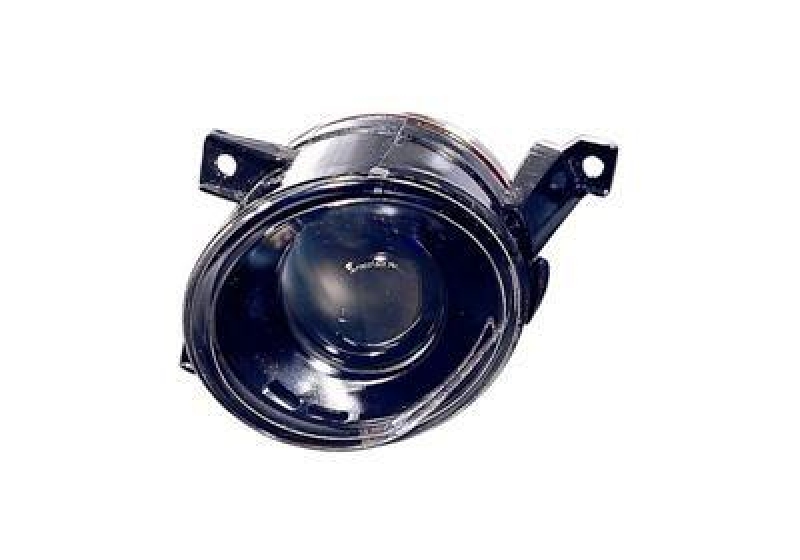 VAN WEZEL Fog Light