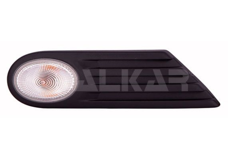 Blinkleuchte Blinker 3002454