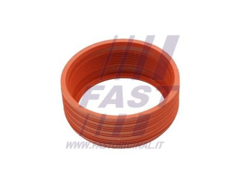 FAST Seal Ring, charge air hose