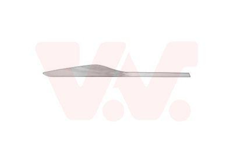 VAN WEZEL Zier-/Schutzleiste, T&uuml;r