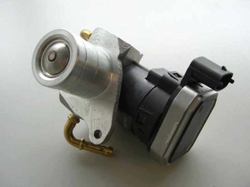 BorgWarner (Wahler) EGR Valve