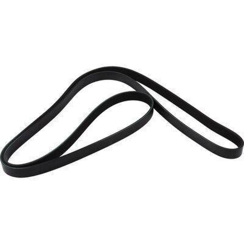 JP GROUP Keilrippenriemen JP