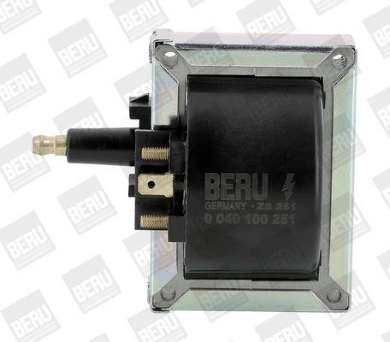 BorgWarner (BERU) Ignition Coil