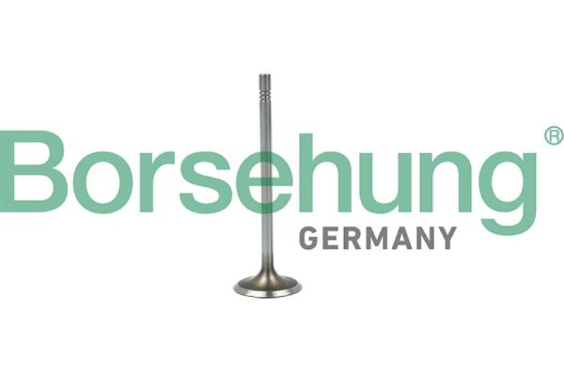 Borsehung Intake Valve