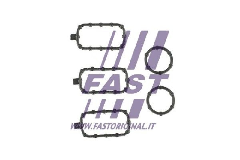 FAST Gasket Set, cylinder head cover