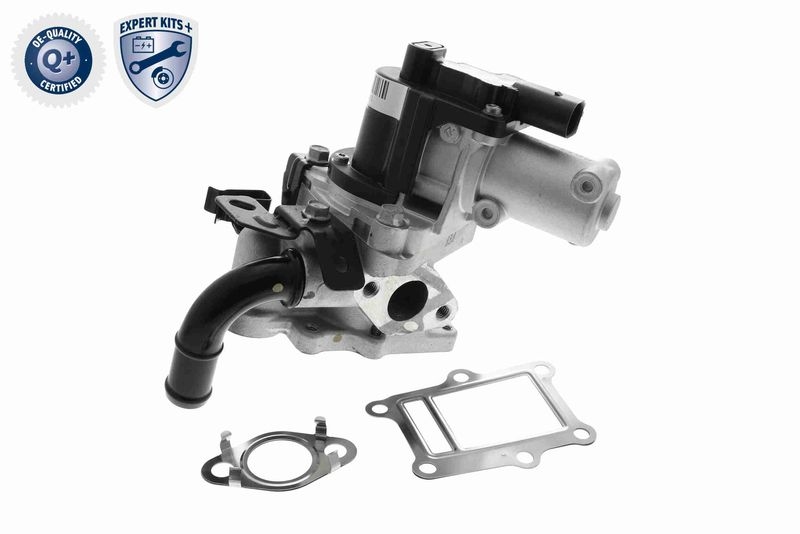 ACKOJA EGR Valve EXPERT KITS +