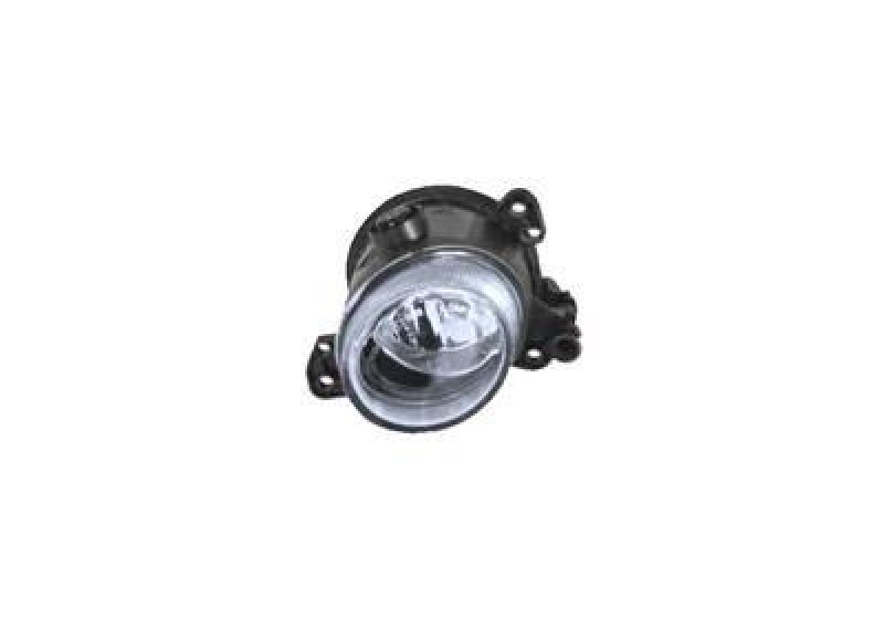 VAN WEZEL Fog Light