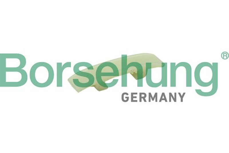 Borsehung Guides, timing chain