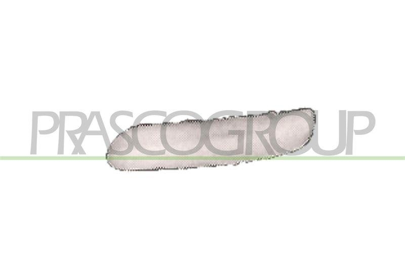 Trim/Protective Strip, bumper Premium
