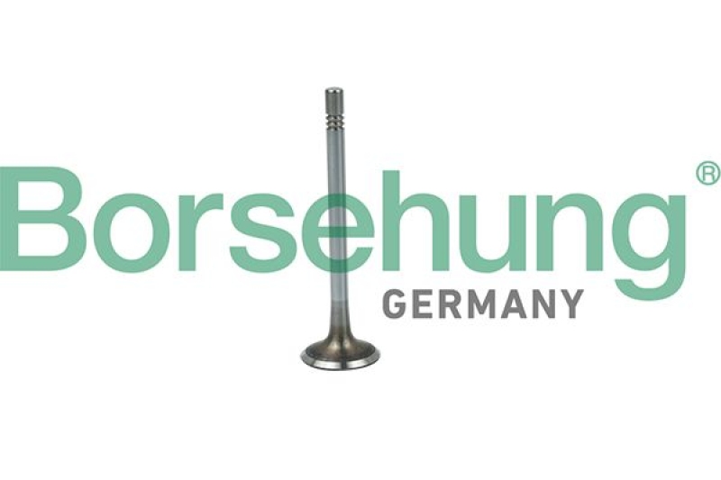 Borsehung Intake Valve