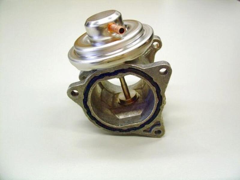 BorgWarner (Wahler) AGR-Ventil